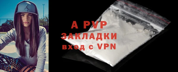 PSILOCYBIN Балабаново