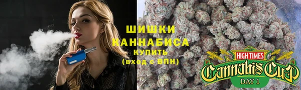 PSILOCYBIN Балабаново
