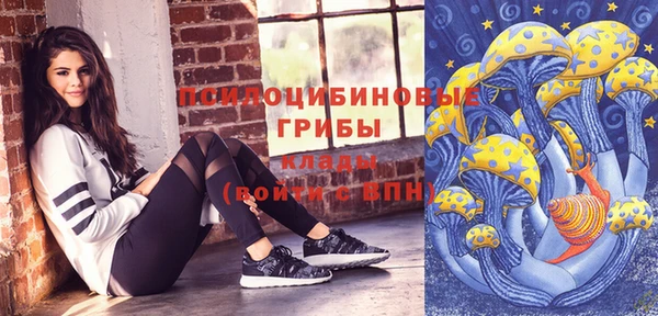 PSILOCYBIN Балабаново