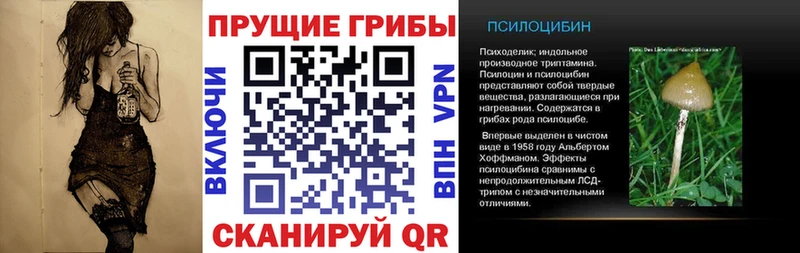 наркотики  Шлиссельбург  Галлюциногенные грибы GOLDEN TEACHER 